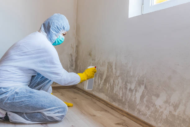 Hvac And Air Duct Mold Remediation inspection of HVAC system in Mead
